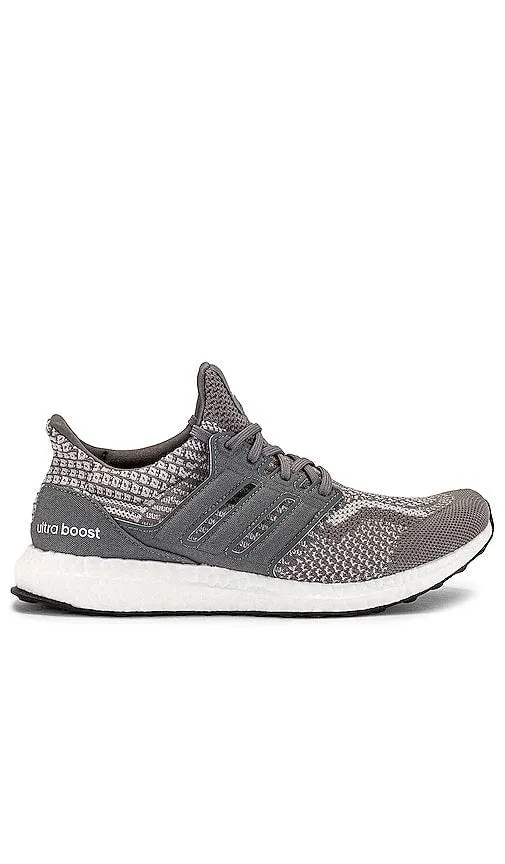 adidas Originals Ultraboost DNA 5.0 Sneaker in Grey