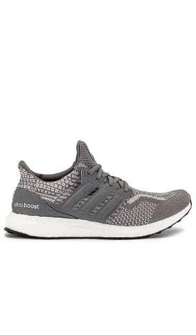 adidas Originals Ultraboost DNA 5.0 Sneaker in Grey
